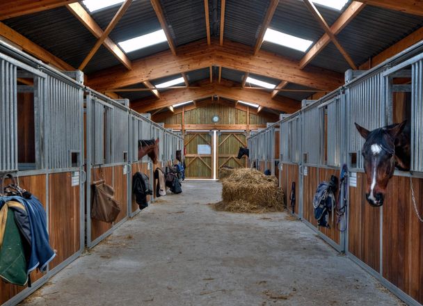 A long, clean stable aisle under timber trusses and skylights, with horses looking out over their stall fronts