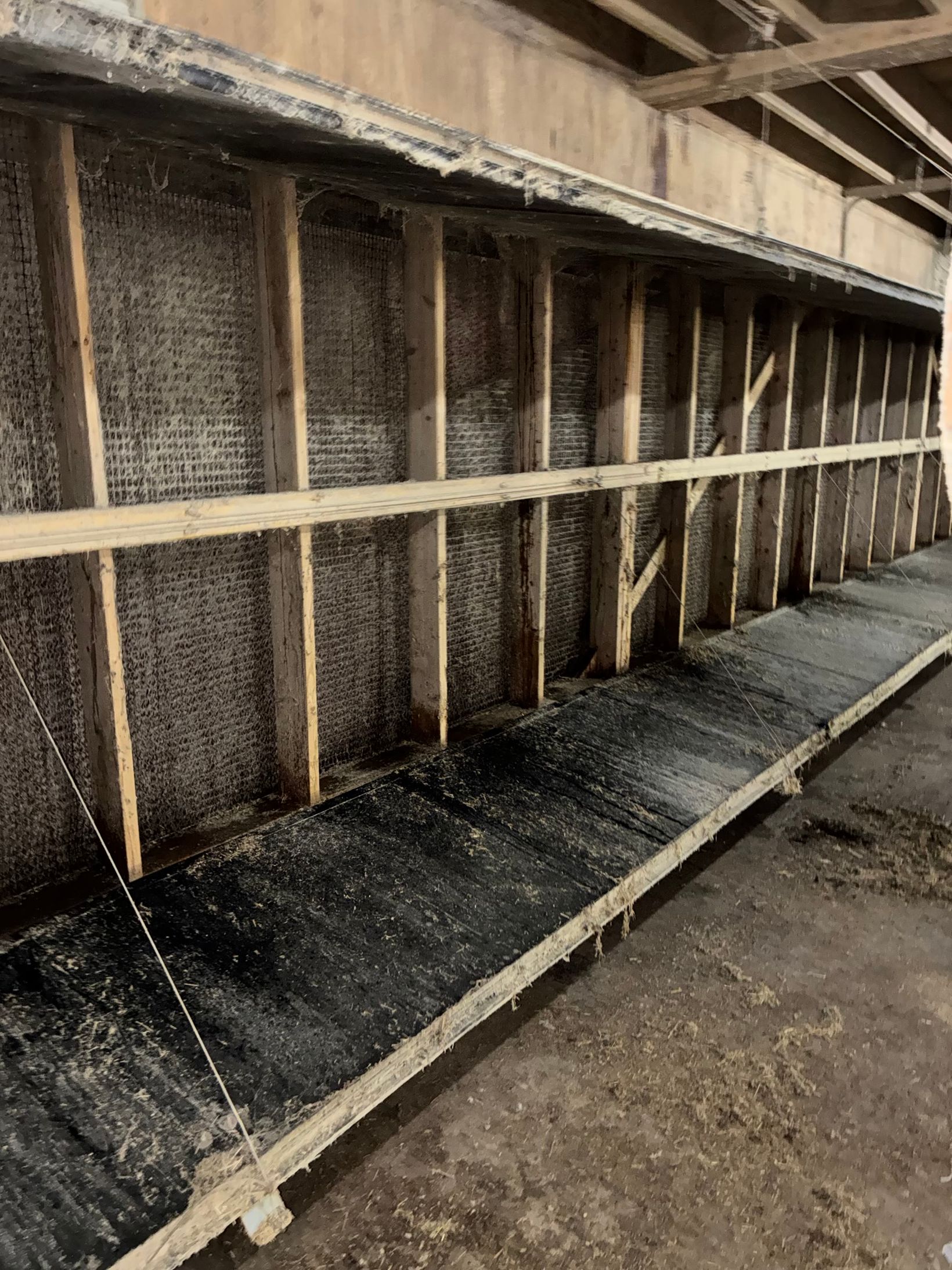 Before: a row of cool-cell pads in a poultry barn, grey with dust, above a gutter caked with dirt.