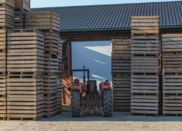 Tall stacks of wooden potato bulk boxes on both sides of the open door of a storage building